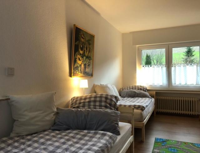 Ferienwohnung Paeusken Im Hochsauerland- E- Bike Und Auto Laden Moeglich Bestwig Exteriör bild